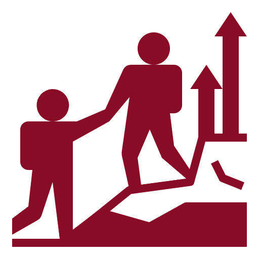 Career Guidance & Mentorship icon